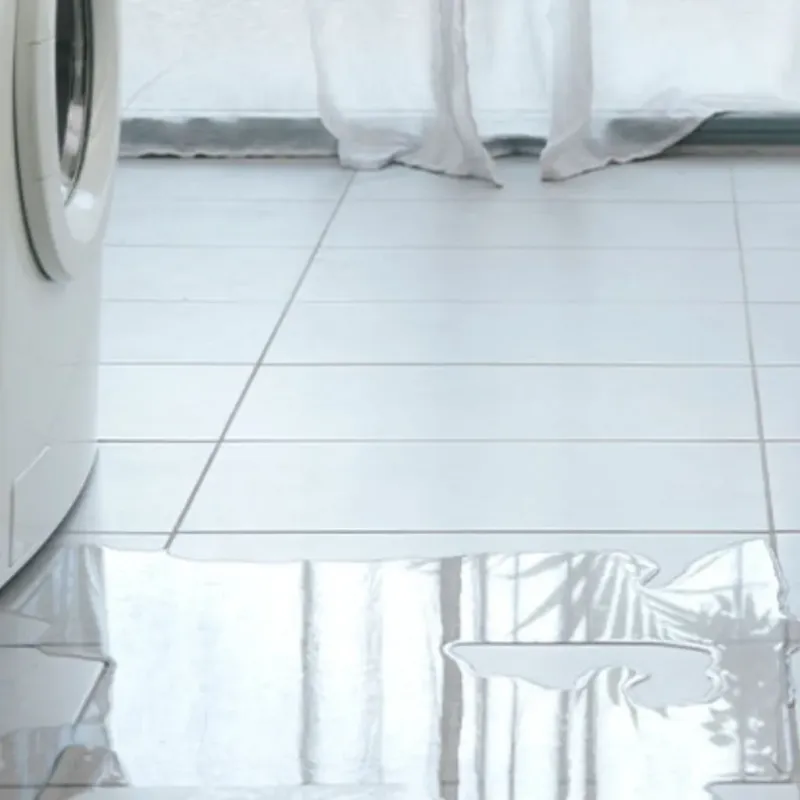 Appliance Leak Cleanup in Pamlico County, NC