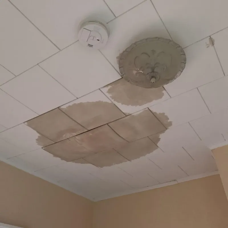 Ceiling Water Damage Repair in Pamlico County, NC