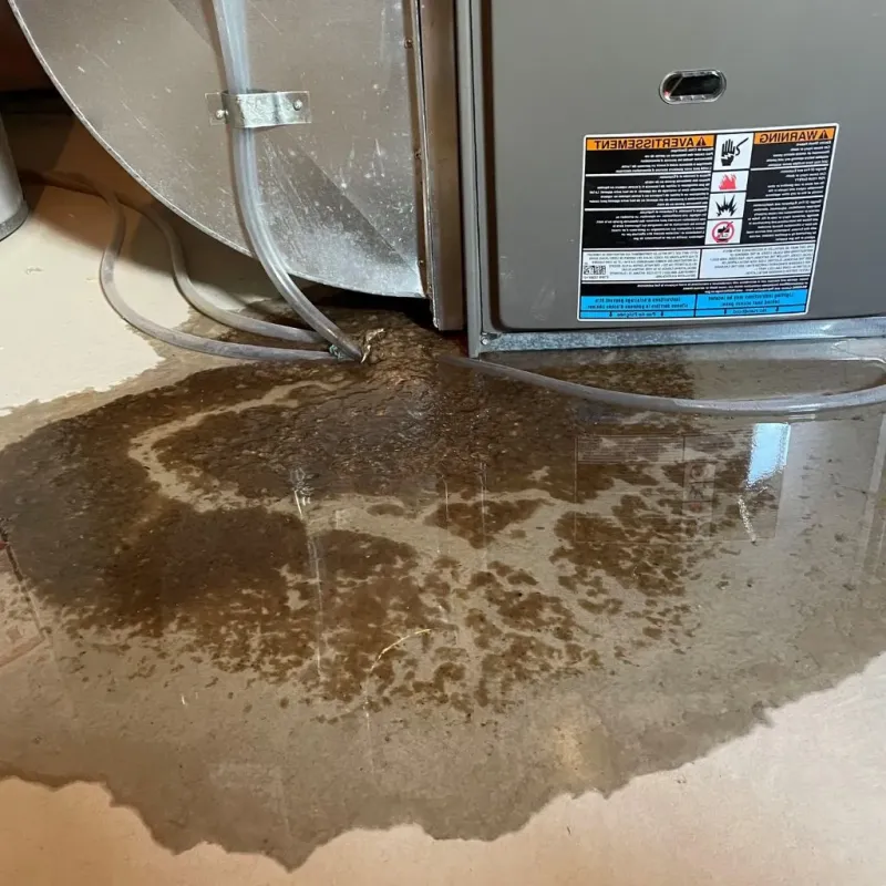 Pipe Burst and Leak Restoration in Pamlico County, NC