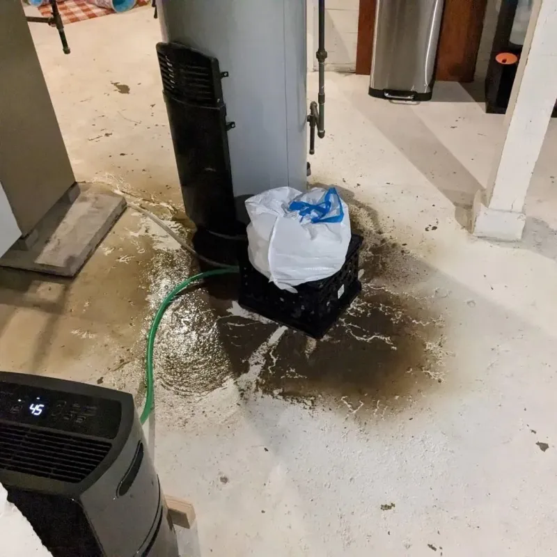 Sewage Backup Cleanup Service in Pamlico County, NC